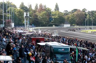 Le Quinté+ du samedi 6 décembre vu par les statistiques