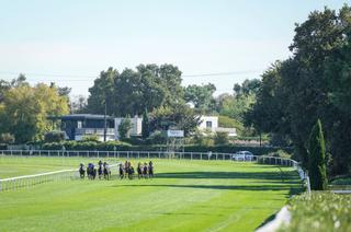 L'analyse des cotes du Quinté+ du lundi 27 avril