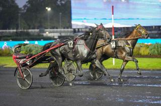 Jeff de Monpaz, la base solide du Quinté+ du mercredi 11 février à Vincennes