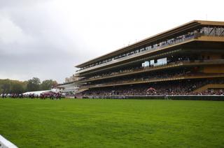 Dimanche à ParisLongchamp : Le terrain sera bon souple