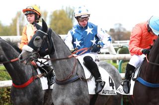 Vol d'Argent, la base solide du Quinté+ de ce dimanche 23 novembre