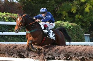 Shaenjet, la base solide du Quinté+ du samedi 7 mars à Auteuil