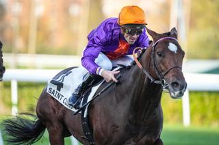 Arrivée et rapports du Quinté+ du dimanche 9 novembre : Lord Of War en costaud