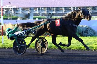 Quinté+ du samedi 7 février à Vincennes : Working Class Hero, tous les feux sont au vert