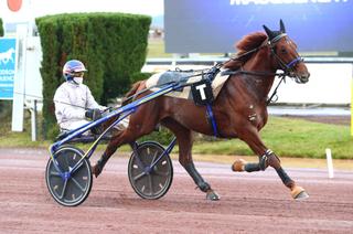Lombok Jiel, la base solide du Quinté+ de ce samedi 6 décembre