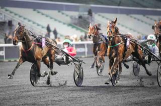 Prix de Chenonceau (Gr. 3) : L'As Desbois sur le fil