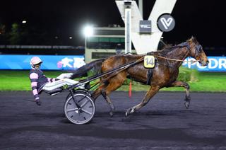 Arrivée et rapports du Quinté+ du vendredi 05 décembre : Kracker Piya fait mouche !