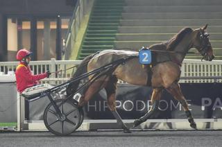 Dimanche à Erbray, 7ème étape du Trophée Vert : Invictus de Nilrem surprend les favoris