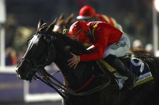Vendredi à Vincennes - Prix Gordonia (Gr.3) : Indigo de Fontaine pour une première victoire de Groupe au monté ?