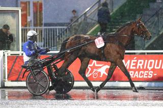 Free Time Jepson, la base solide du Quinté+ du jeudi 8 janvier à Cagnes-sur-Mer