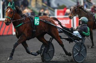Kiss Me Again, la base solide du Quinté+ du vendredi 16 octobre à Vincennes