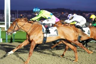 Rêve Bleu, l’outsider séduisant du Quinté+ du jeudi 13 août à Deauville
