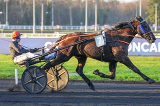 Quinté+ du vendredi 9 octobre : l'heure du rachat pour Jytrace de Houelle