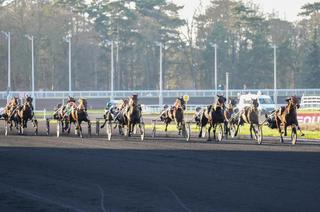 Quinté+ du samedi 7 février : Analyse et décryptage de la course de réf