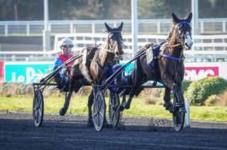 Mercredi à Vincennes - Prix Paul Karle (Gr. 2) : Analyse et conseil de jeu