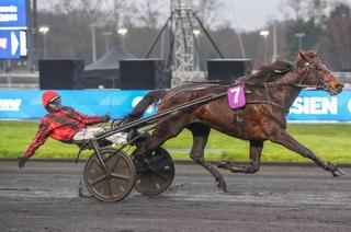 Jazzman, la base solide du Quinté+ de ce samedi 7 février