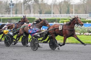 Arrivée et rapports du Quinté+ du mardi 3 février à Vincennes : Diva del Ronco confirme