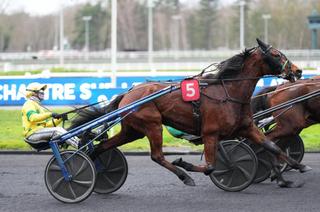 8ème Étape du Trophée Vert : King de l'Ouest à la "mode"