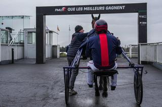 Le Quinté+ du mercredi 11 février vu par les statistiques