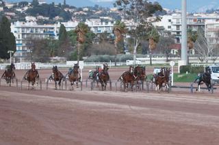 Le Quinté+ du jeudi 26 février vu par les statistiques