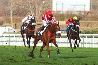 Samedi à Auteuil : Analyse et conseil de jeu du Prix Troytown