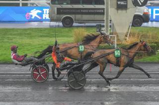 Prix Comte Pierre de Montesson : Nocive du Choquel offre un premier Groupe I à Nicolas Bridault