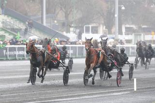 Mercredi à Vincennes : Analyse et conseil de jeu du Prix Masina