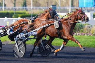 Jilord Viva, la base solide du Quinté+ de ce mercredi 4 mars