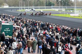 Le Quinté+ du mercredi 13 mai vu par les statistiques