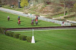 Quinté+ du dimanche 22 mars : analyse et décryptage de la course de réf