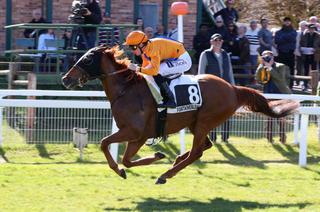 Arrivée et rapports du Quinté+ du mardi 17 mars à Fontainebleau : Scarface facilement