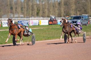 Arrivée et rapports du Quinté+ du mercredi 18 mars à Vire : Katchi Quick a rempli sa mission
