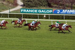 Arrivée et rapports du Quinté+ du mardi 24 mars à Saint-Cloud : Clavus, la nouvelle victoire d’un poids lourd des Quinté+