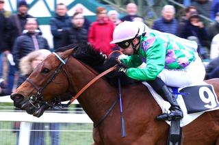 Profumo di Iena, la base solide du Quinté+ du mardi 14 avril