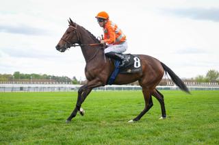 Prix la Sorellina dimanche à Mont-de-Marsan : analyse et conseil de jeu