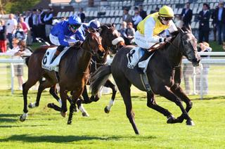 Prix Imprudence : Showna à la surprise générale