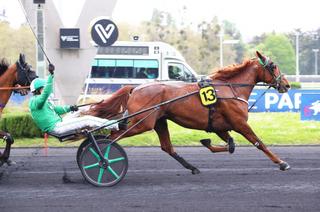 Quinté+ du mercredi 13 mai à Vincennes : Lunella Leman peut briller face aux mâles