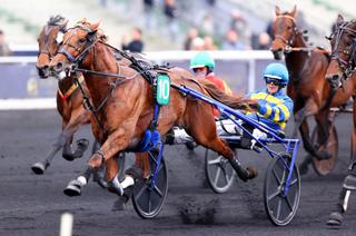 Samedi à Vincennes - Prix Jockey - Critérium 5 ans Q2 (Gr. 2) : Analyse et conseil de jeu