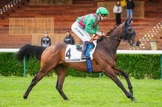 Quinté+ du mardi 14 juillet à Longchamp : Gerard Ter Borch a la pointure