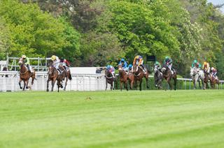 Quinté+ du samedi 16 mai à Auteuil : analyse et décryptage de la course de réf