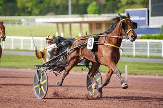 Middle Earth, l’outsider séduisant du Quinté+ du vendredi 18 septembre à Vincennes
