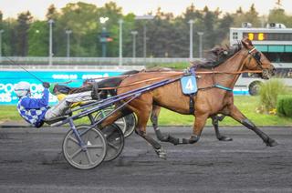 Arrivée et rapports du Quinté+ du vendredi 17 avril : Jetida décroche son premier événement