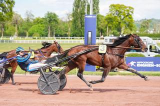 Samedi à Argentan - Critérium de Vitesse de Basse-Normandie (Gr. 2) : Analyse et conseil de jeu