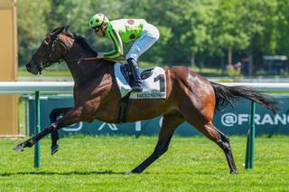 Dimanche à Longchamp - Prix Hocquart (Groupe 3) : Analyse et conseil de jeu