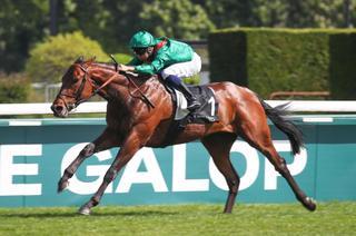 Jeudi à Longchamp - Prix Aga Khan IV (Prix d'Ispahan) : Pourquoi Daryz peut briller sur cette distance ?