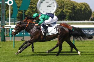 Prix de Suresnes : Dolmalan gagne son ticket pour le Qatar Prix du Jockey Club