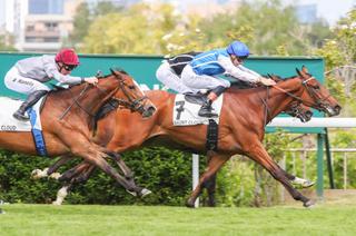 Lundi à Vichy - Prix Frederic de Lagrange : analyse et conseil de jeu
