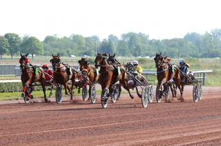 L'analyse des cotes du Quinté+ du mercredi 10 juin