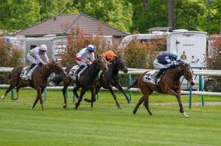 Arrivée et rapports du Quinté+ du mardi 12 mai à Chantilly : Royalwood remet le couvert