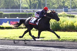 Prix Jean Gauvreau - Etrier 5 Ans Q2 : Liberté du Goutier s'envole